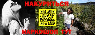 тгк Обь